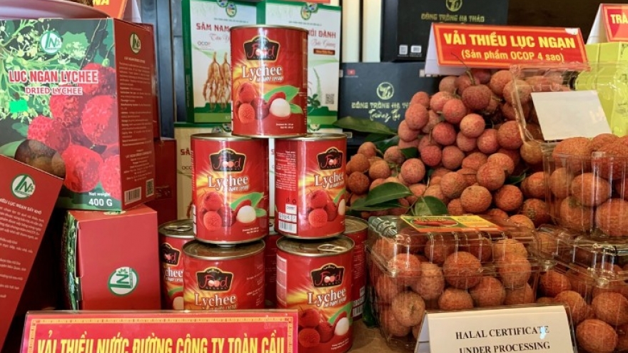 Indonesia, Vietnam set ambitious target to boost food industry cooperation